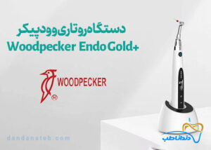 موتور اندو بی سیم وودپیکر Woodpecker مدل Endo Smart Gold